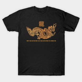 Don't Fear Me For Who I Am, Fear Me For What I'm Capable For T-Shirt